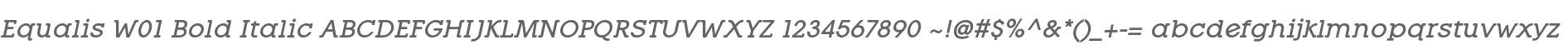 Equalis W01 Bold Italic