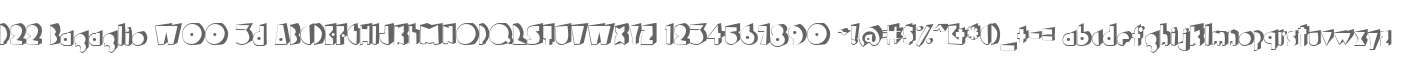 P22 Bagaglio W00 3d