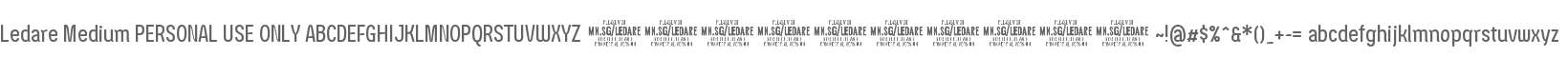 Ledare Medium PERSONAL USE ONLY