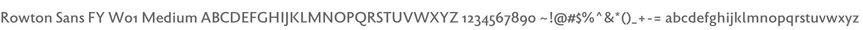 Rowton Sans FY W01 Medium