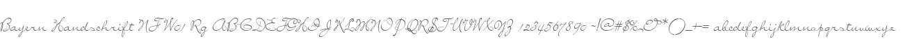 Bayern Handschrift NF W01 Rg