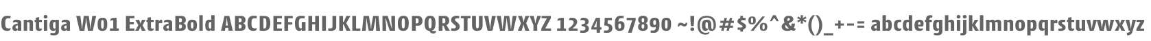 Cantiga W01 ExtraBold
