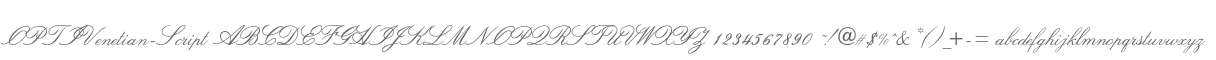 OPTIVenetian-Script