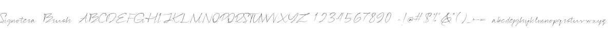 Signotera Brush