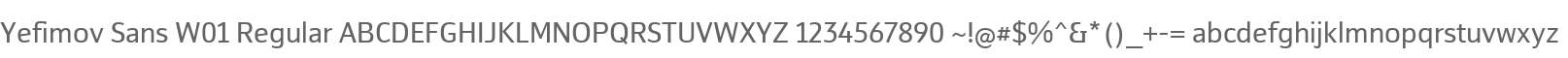 Yefimov Sans W01 Regular