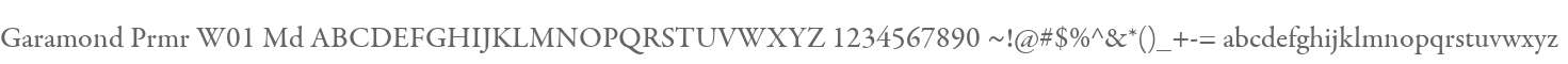 Garamond Prmr W01 Md