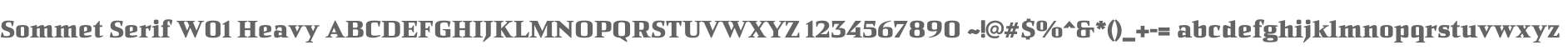 Sommet Serif W01 Heavy