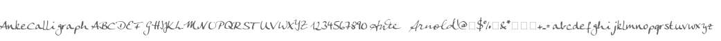 AnkeCalligraph