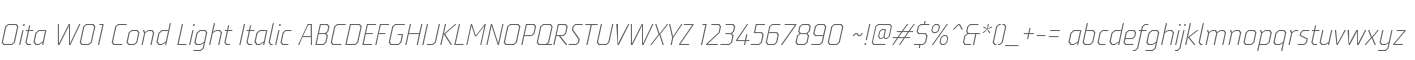 Oita W01 Cond Light Italic