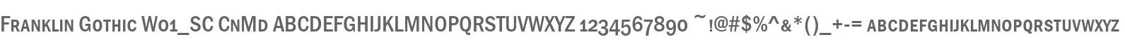 Franklin Gothic W01_SC CnMd