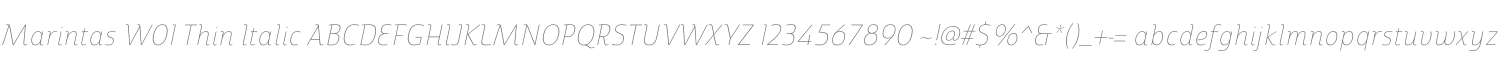 Marintas W01 Thin Italic