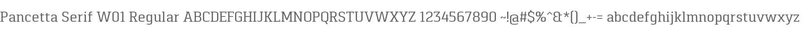 Pancetta Serif W01 Regular