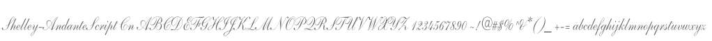 Shelley-AndanteScript Cn