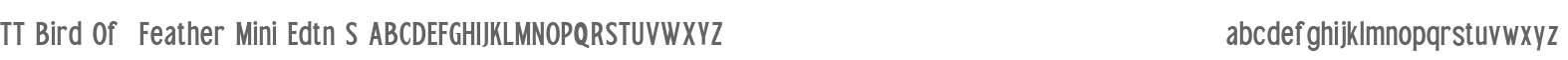 TT Old Serif SemBd