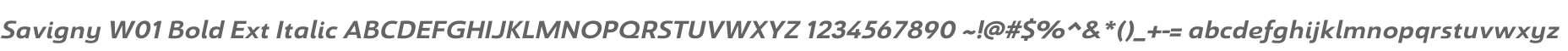 Savigny W01 Bold Ext Italic