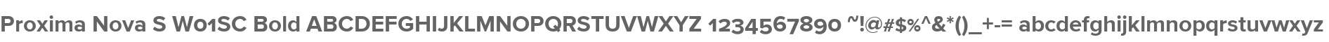 Proxima Nova S W01SC Bold