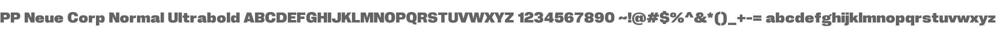 PP Neue Corp Normal Ultrabold