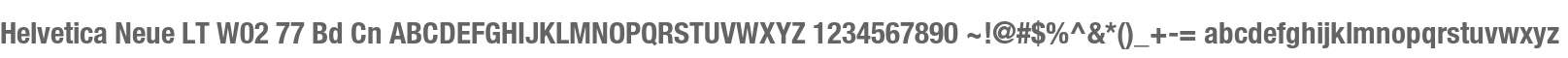 Helvetica Neue LT W02 77 Bd Cn