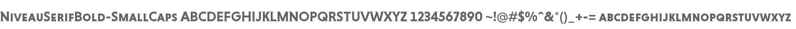 NiveauSerifBold-SmallCaps