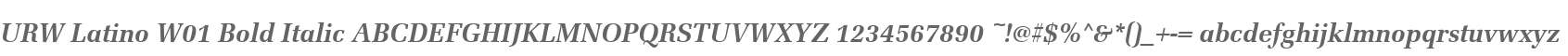 URW Latino W01 Bold Italic