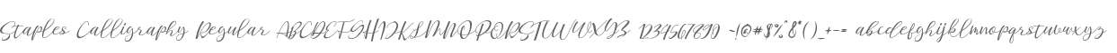 Staples Calligraphy Regular