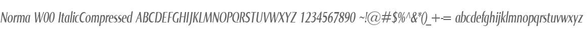 Norma W00 ItalicCompressed