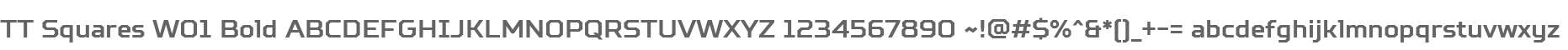TT Squares W01 Bold
