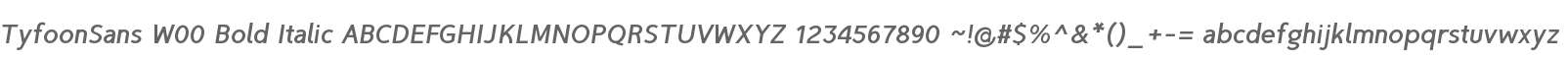 TyfoonSans W00 Bold Italic