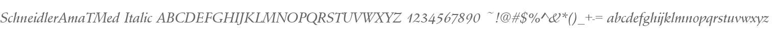 SchneidlerAmaTMed Italic