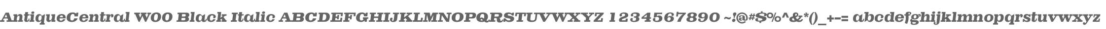 AntiqueCentral W00 Black Italic