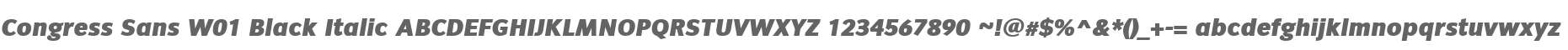 Congress Sans W01 Black Italic