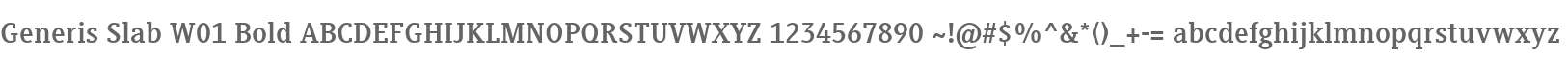 Generis Slab W01 Bold