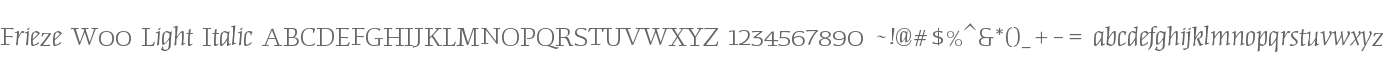 Frieze W00 Light Italic