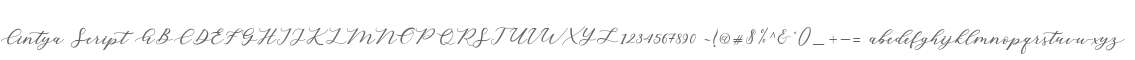 Cintya Script