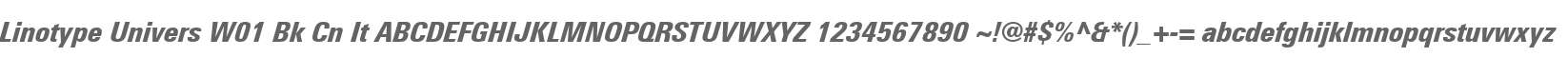 Linotype Univers W01 Bk Cn It