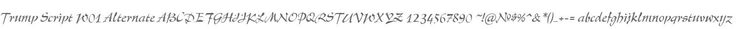 Trump Script W01 Alternate