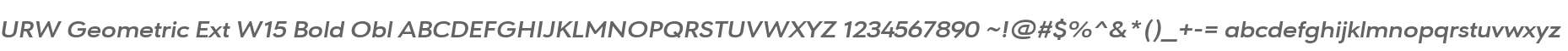 URW Geometric Ext W15 Bold Obl