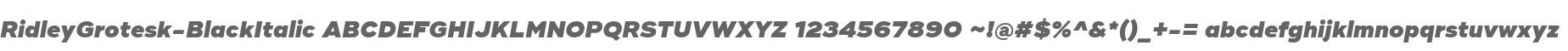 RidleyGrotesk-BlackItalic