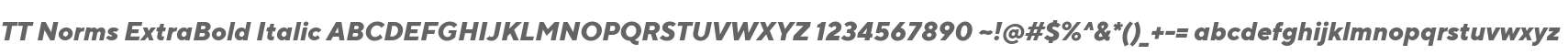 TT Norms ExtraBold Italic
