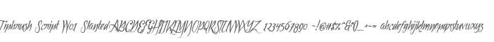 Tipbrush Script W01 Slanted