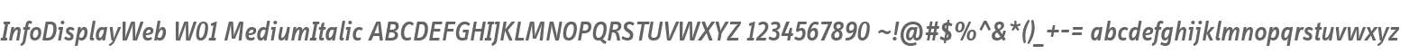 InfoDisplayWeb W01 MediumItalic