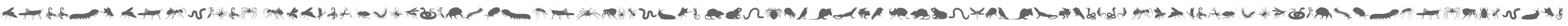 Creepy Crawlies