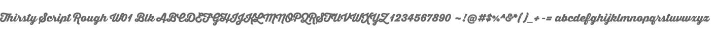 Thirsty Script Rough W01 Blk