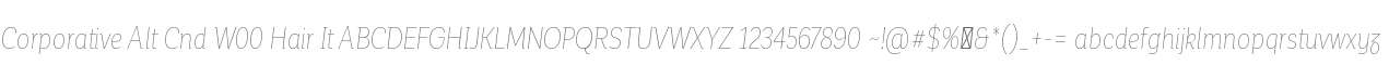Corporative Alt Cnd W00 Hair It