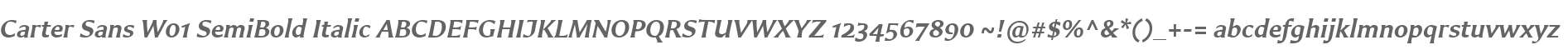Carter Sans W01 SemiBold Italic
