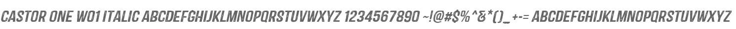 Castor One W01 Italic