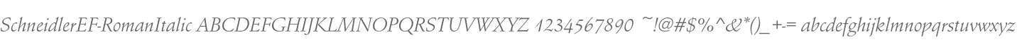 SchneidlerEF-RomanItalic