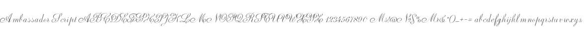 Ambassador Script