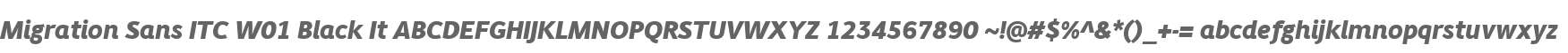 Migration Sans ITC W01 Black It