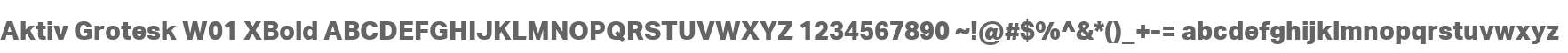 Aktiv Grotesk W01 XBold